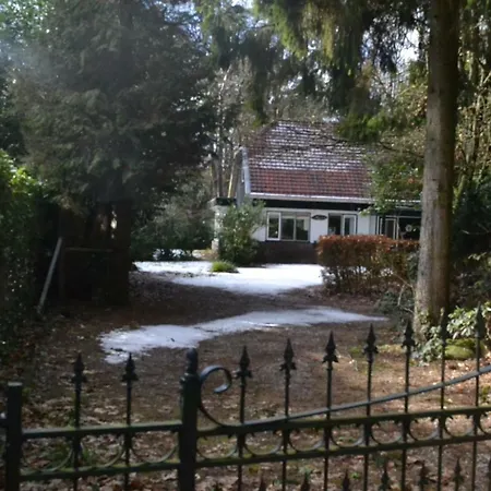 De Boschnimf