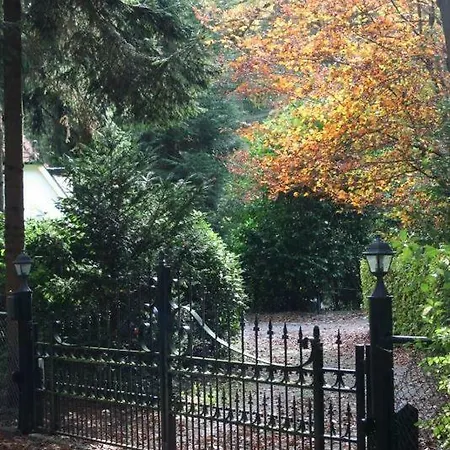 Holiday home De Boschnimf *